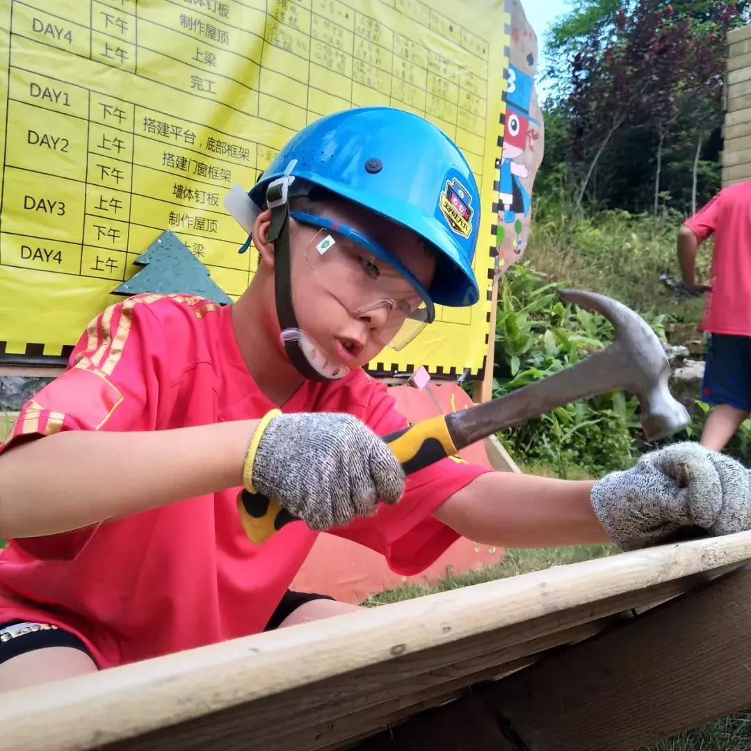 厉害了!这几个小学生竟然花了5天时间在森林里造了一个......