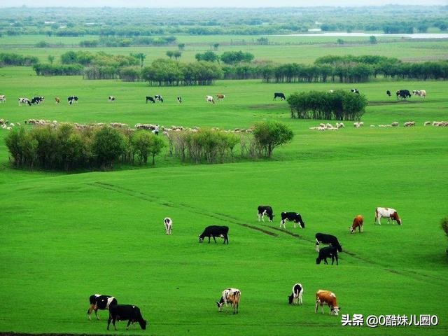 15天自驾3880公里北京到呼伦贝尔,一路只为梦中的草原