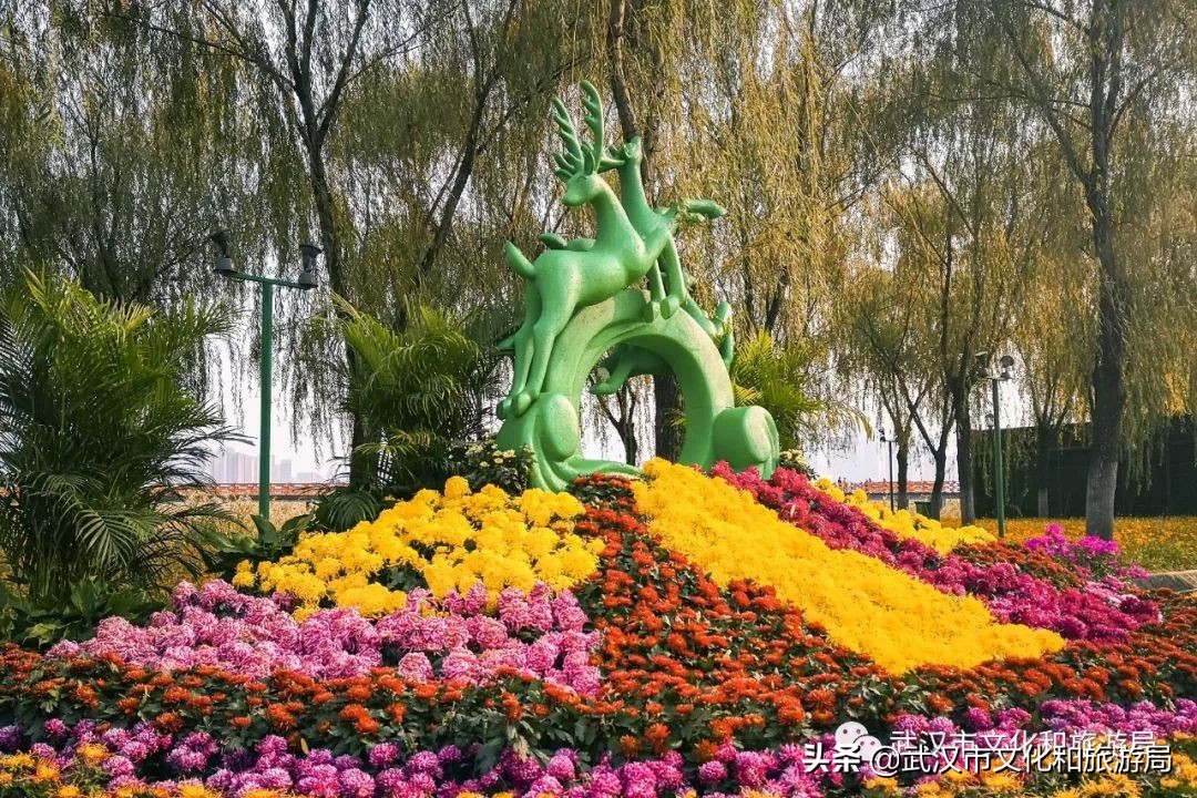 花点时间武汉东湖樱花园,武汉花点时间