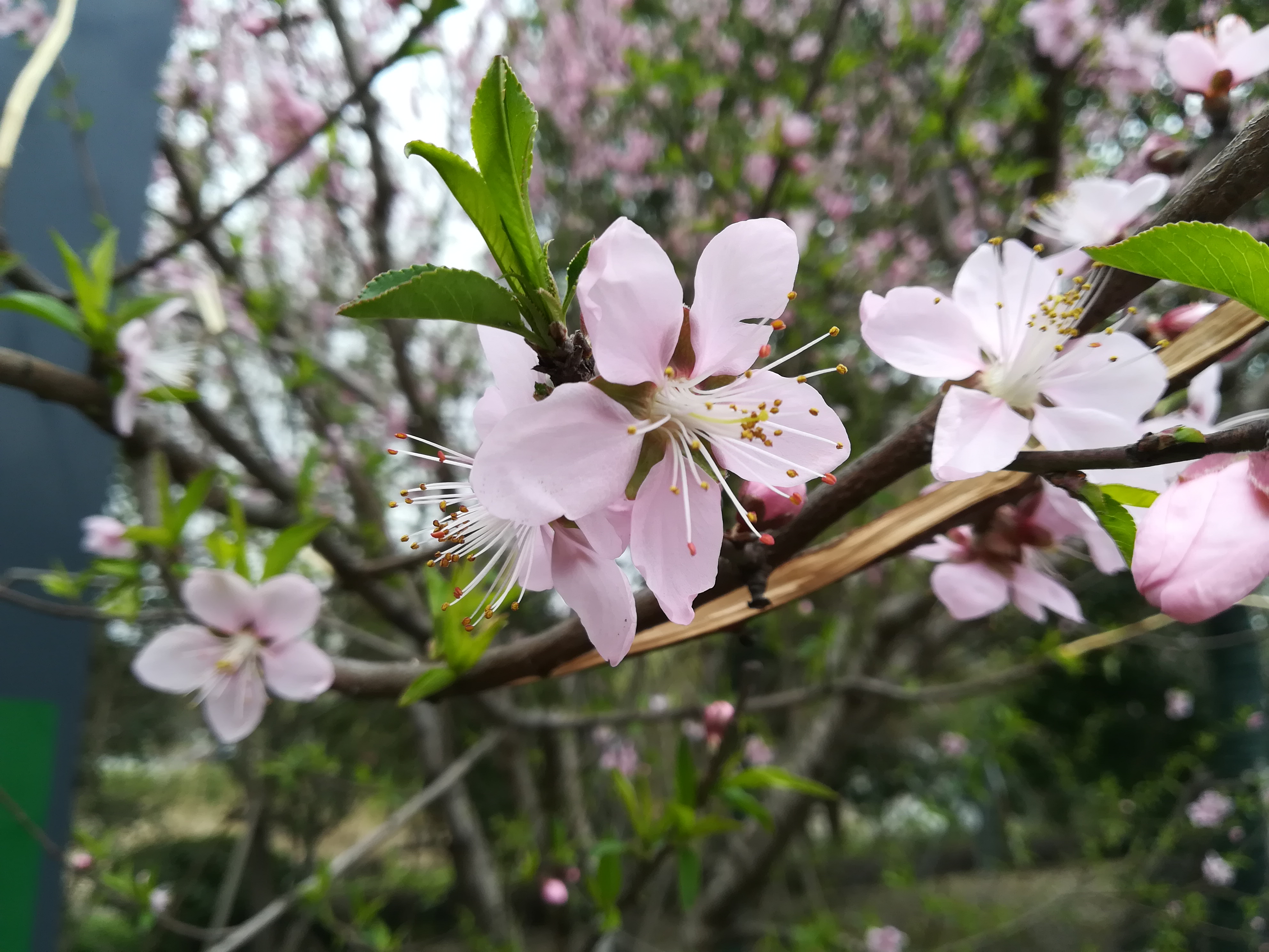 苏州越溪永旺梦乐城,苏州新区永旺梦乐城