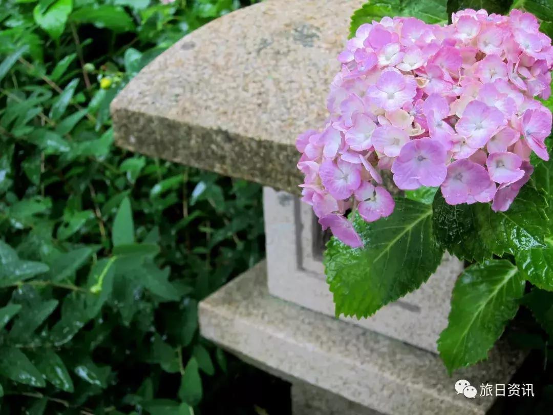 镰仓超详细攻略,去日本镰仓旅游有好的攻略