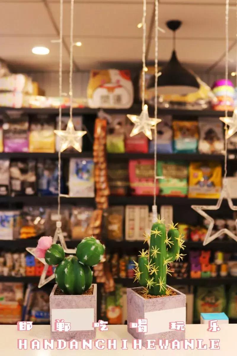 软萌暴击！邯郸这家高颜值猫咖上线，“吸猫”终于提上日程！