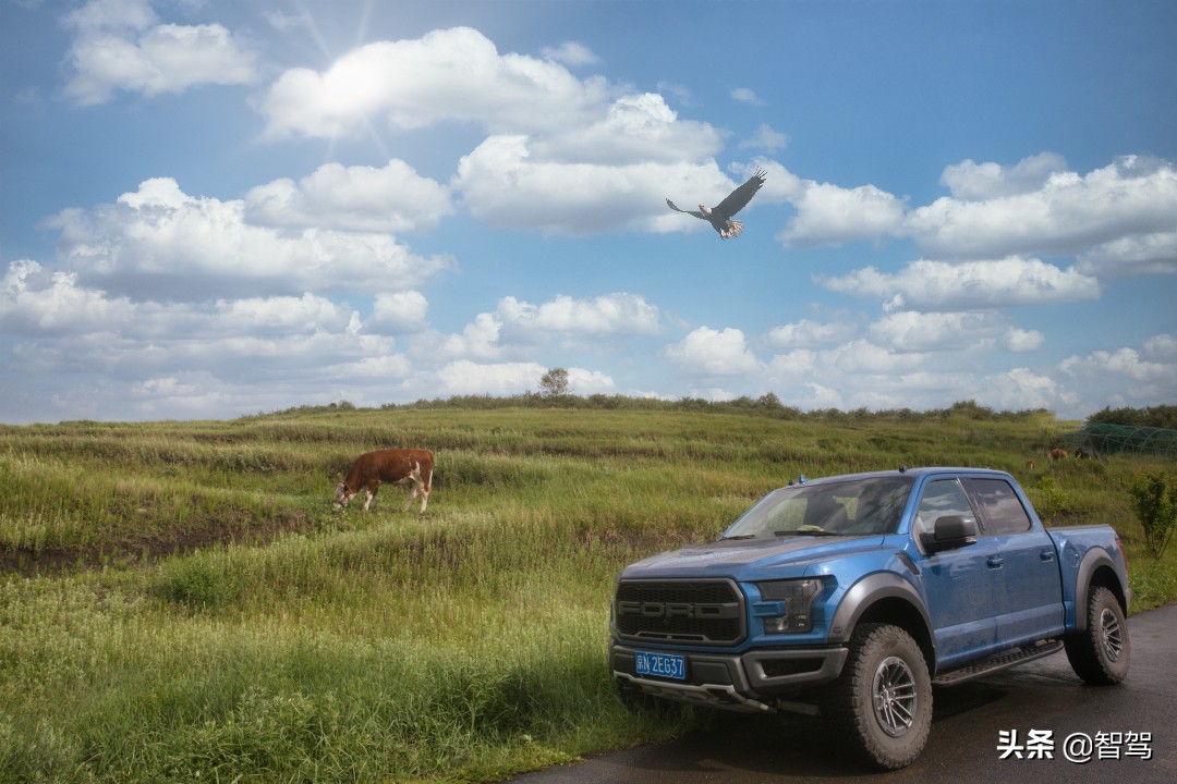 福特猛禽是年轻人的大玩具,福特猛禽加长版玩具车