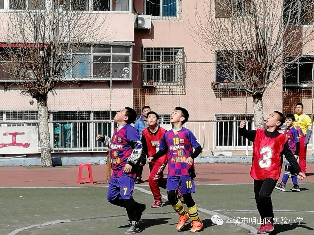 本溪市溪湖区小学生足球联赛,本溪市小学足球联赛视频