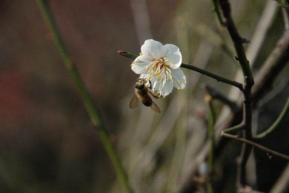 100个高智商逻辑题,10个高智商推理