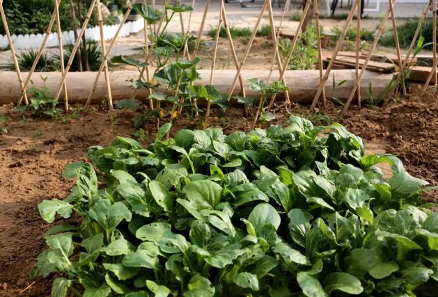 女明星生活费2万,上亿身家女明星日常