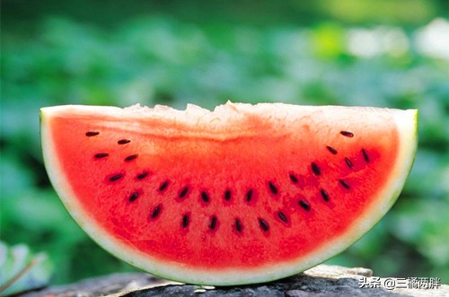 幼犬法斗流黄鼻涕怎么处理,法斗幼犬便便什么颜色才是正常的