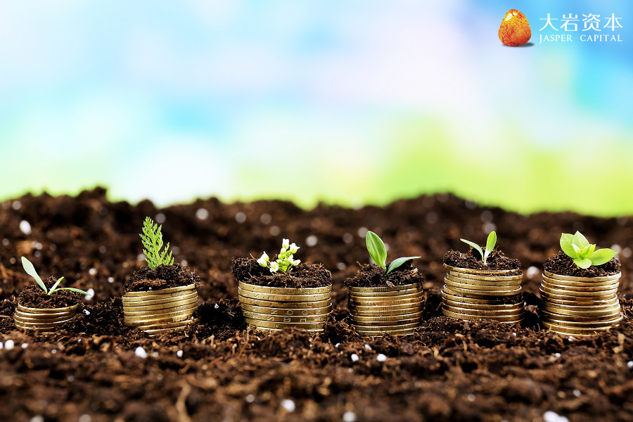 大岩蒋晓飞视频,大岩资本管理有限公司蒋晓飞