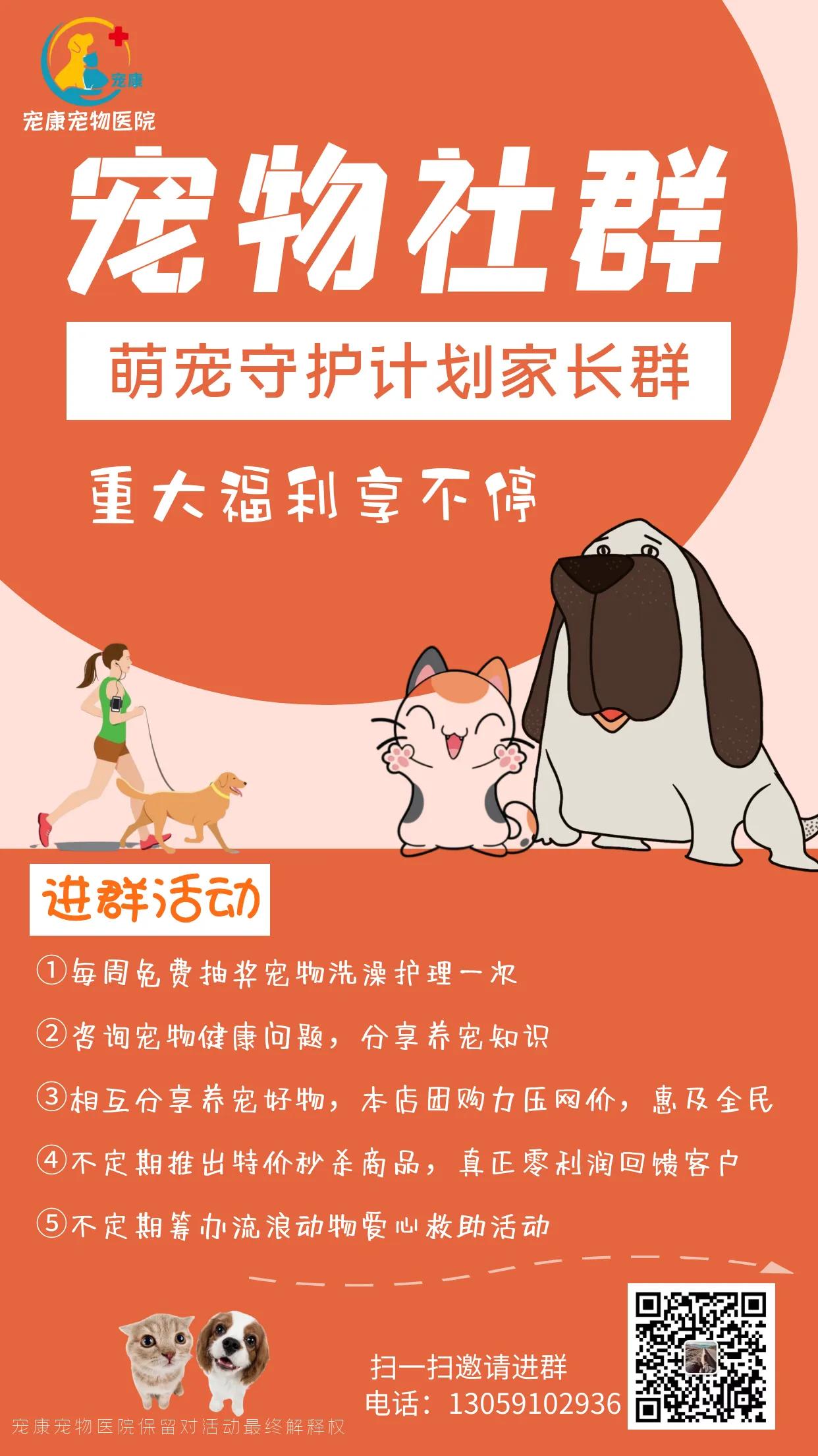 龙川养狗的人,龙川养蛋白虫