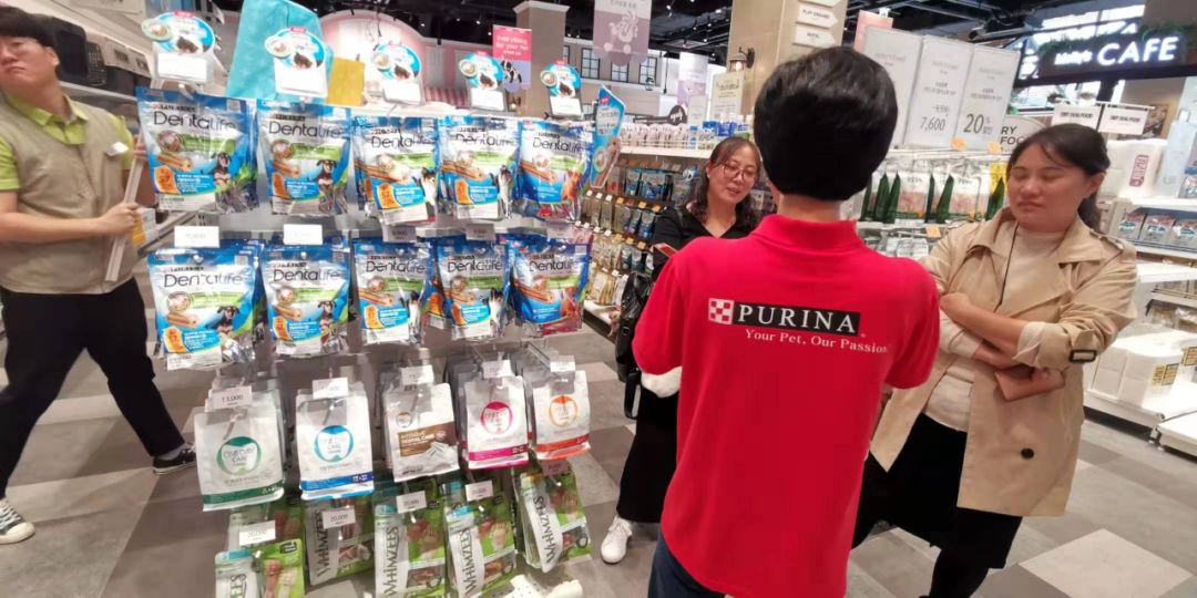 韩国宠物店推荐,韩国宠物店体验