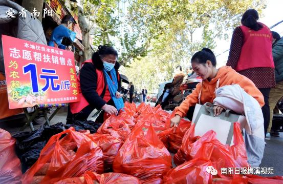 爱看南阳㉘初冬·暖阳依旧