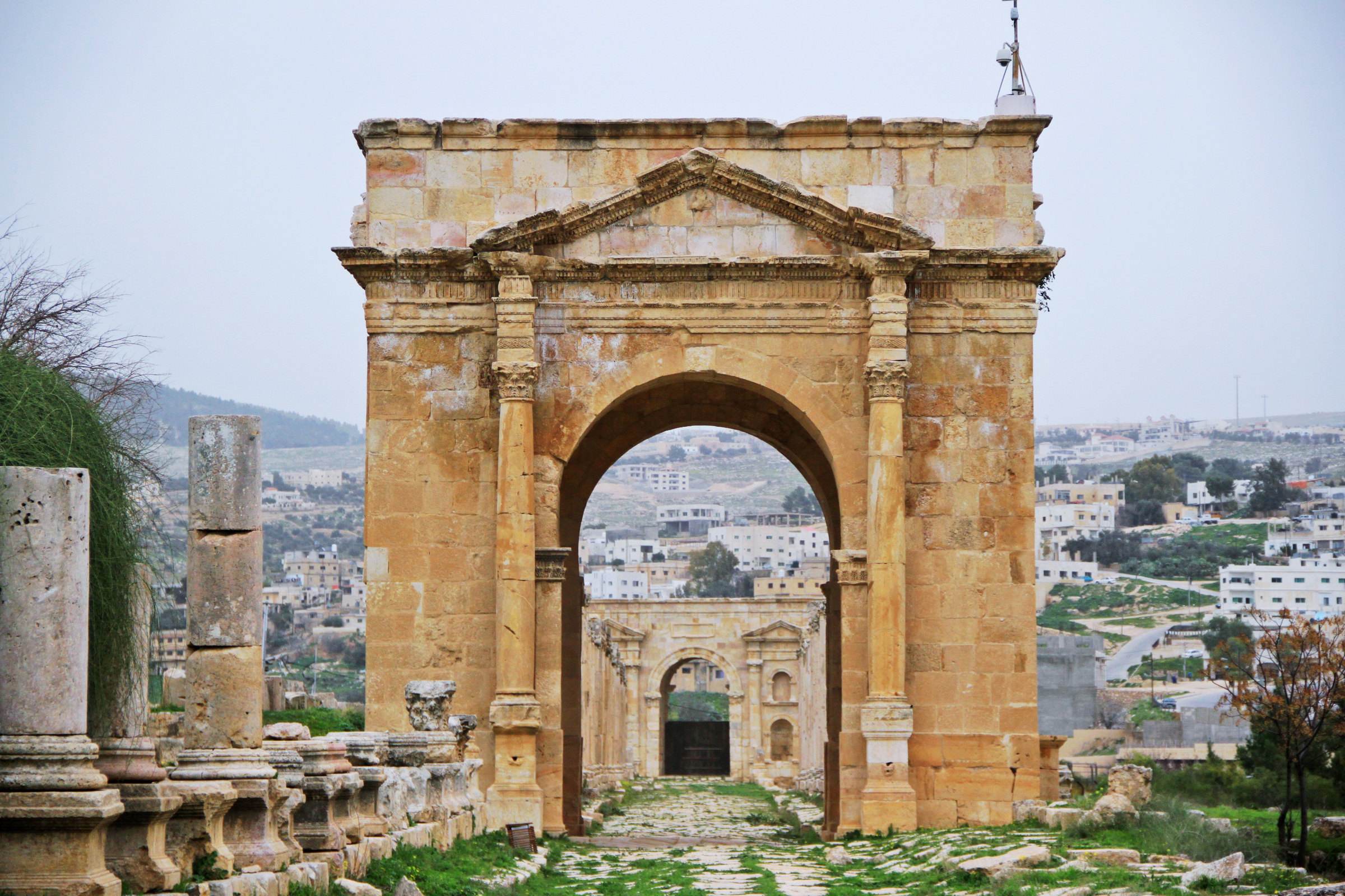 是谁将马匹饲料推销到了人们的餐桌?燕麦的故事,背后的资本味道