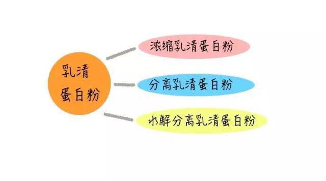十种优质蛋白你一定要知道,蛋白营养前后对比