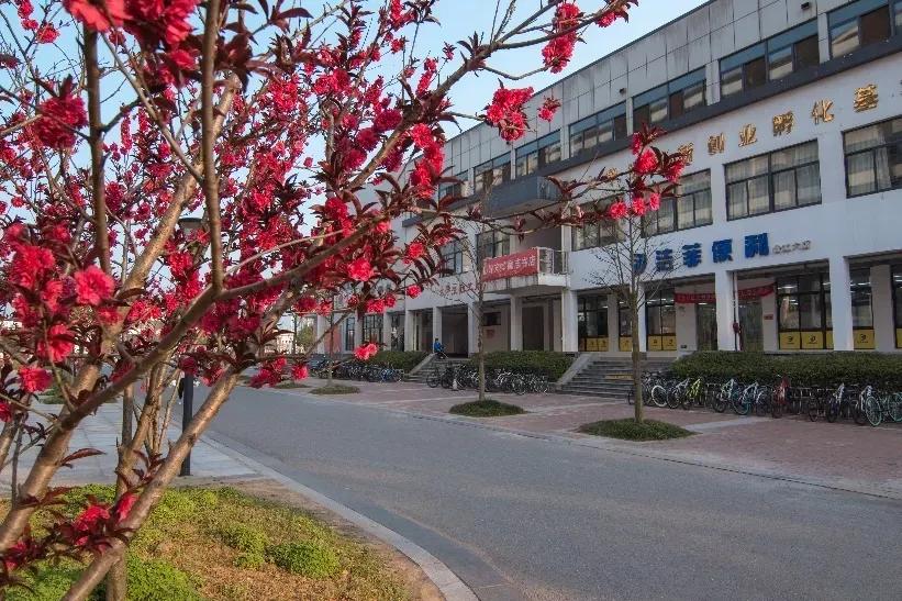 安徽合肥大学二本院校,安徽合肥工业大学