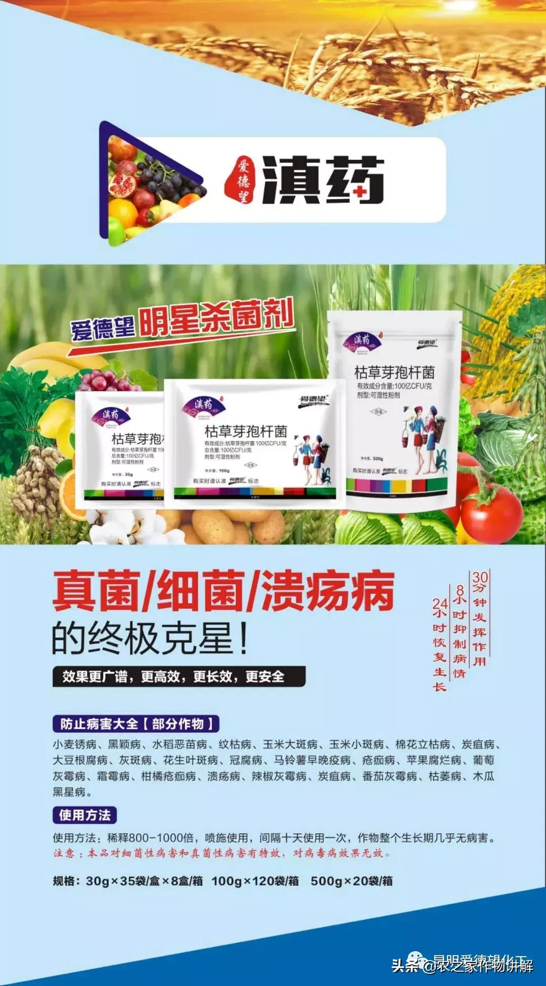 枯草芽孢杆菌是调水还是解毒,肥料枯草芽孢杆菌的作用及功效