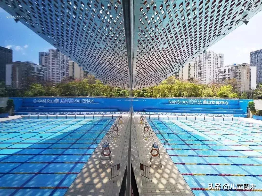 深圳游泳教练培训学校有哪些,深圳成人游泳培训班哪里好