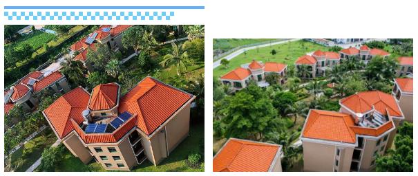 广东小帕劳,下川岛小帕劳