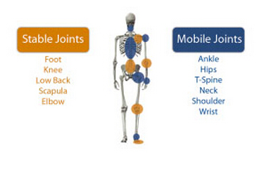 适合腰疼的核心训练,训练核心多久能改善腰疼