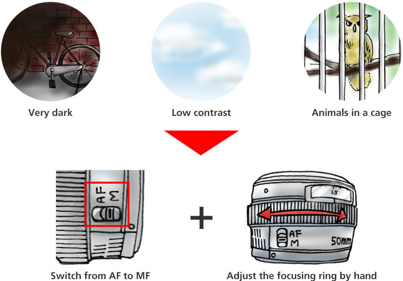 摄影小白怎么学会构图,摄影精准聚焦技巧