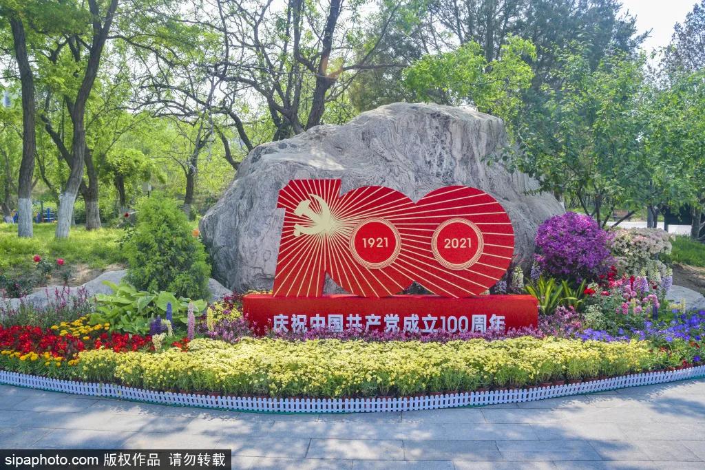 紫色花海免费版,紫色花海免费