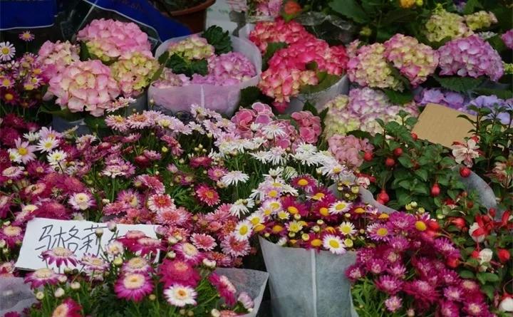 刚买的花，发蔫落苞加黄叶！为什么呢？多半是放错了位置