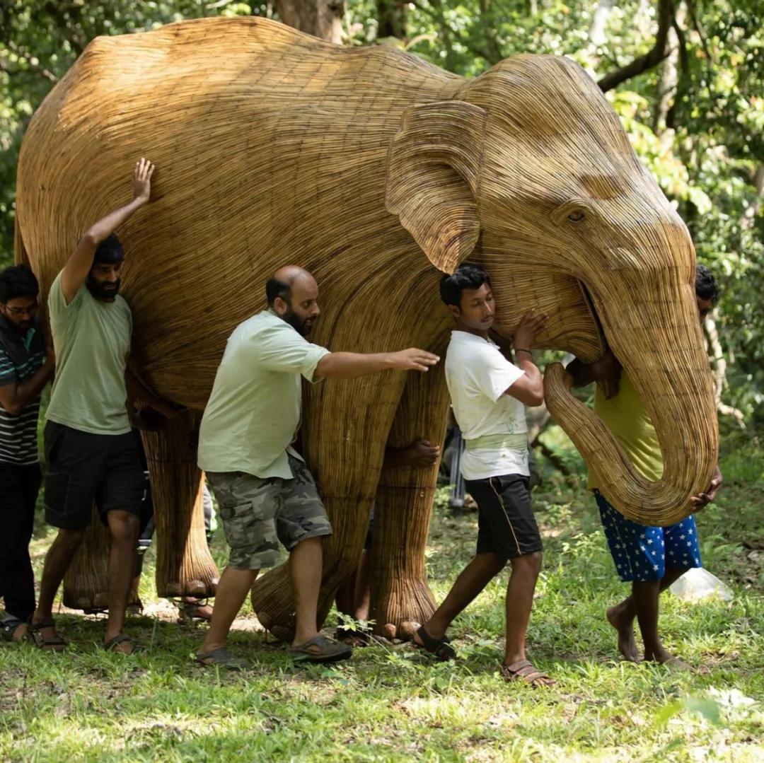 芝加哥火焰队球场,芝加哥火焰足球队英文