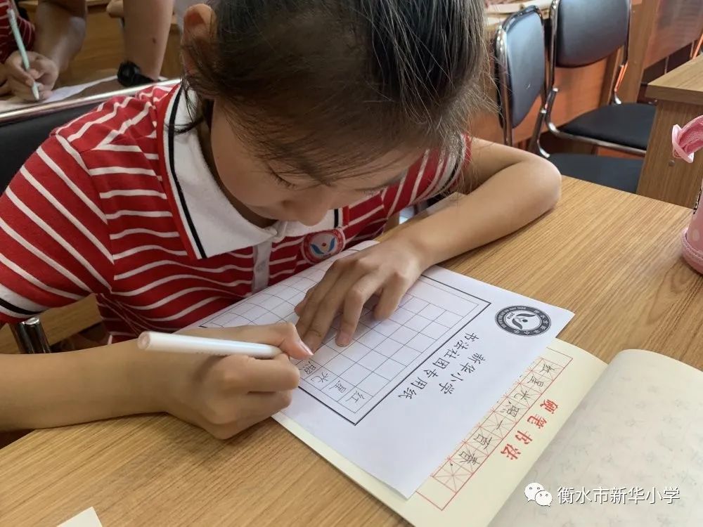 社团活动小学兴趣小组,新华小学三年级参加兴趣小组