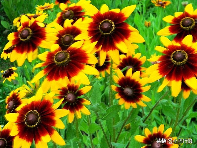 无锡新安太湖边,无锡市太湖边古镇