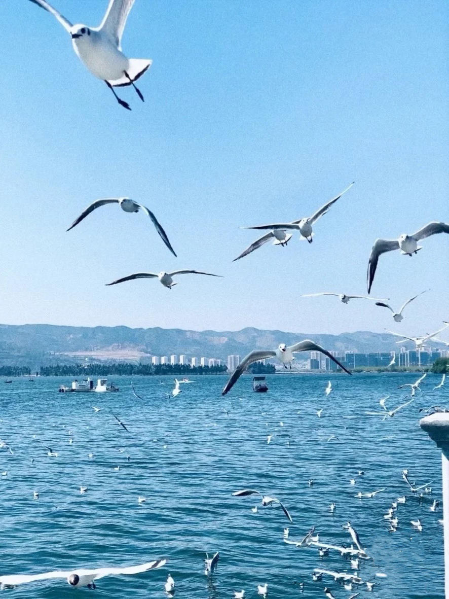 昆明自由行旅游攻略自助游推荐,昆明旅游路线推荐自由行攻略图