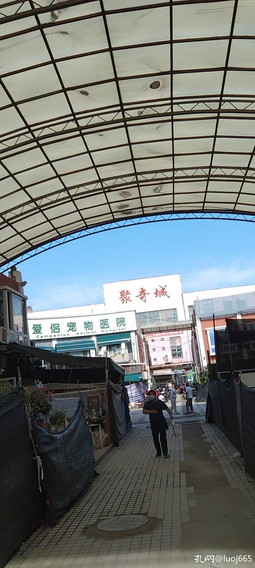 来逛逛上海灵石路的古玩早市,上海古玩市场一条街在哪里