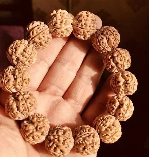 金刚贵贱区别,金刚菩提多久能红