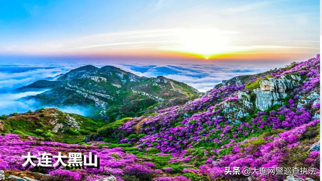 大连是个有人情味的城市吗,大连和济南哪个城市好