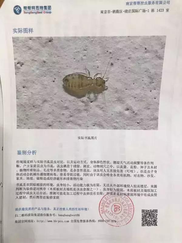 精装修房子发现书虱,新房装修后出现书虱