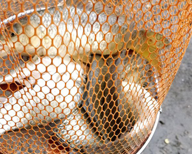 下雨钓鱼怎么防止淋湿,秋季钓鱼连续下雨如何应对