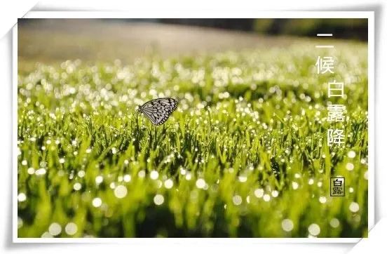 二十四节气课程立秋,二十四节气课程实施方案