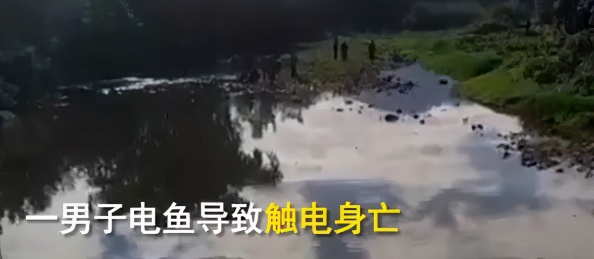 电击捕蚯蚓方法,电蚯蚓对土壤的危害