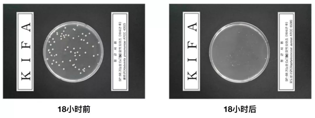 肖战采访直言喜欢美腿，景甜推荐的显瘦好穿打*裤底**在冬天是刚需