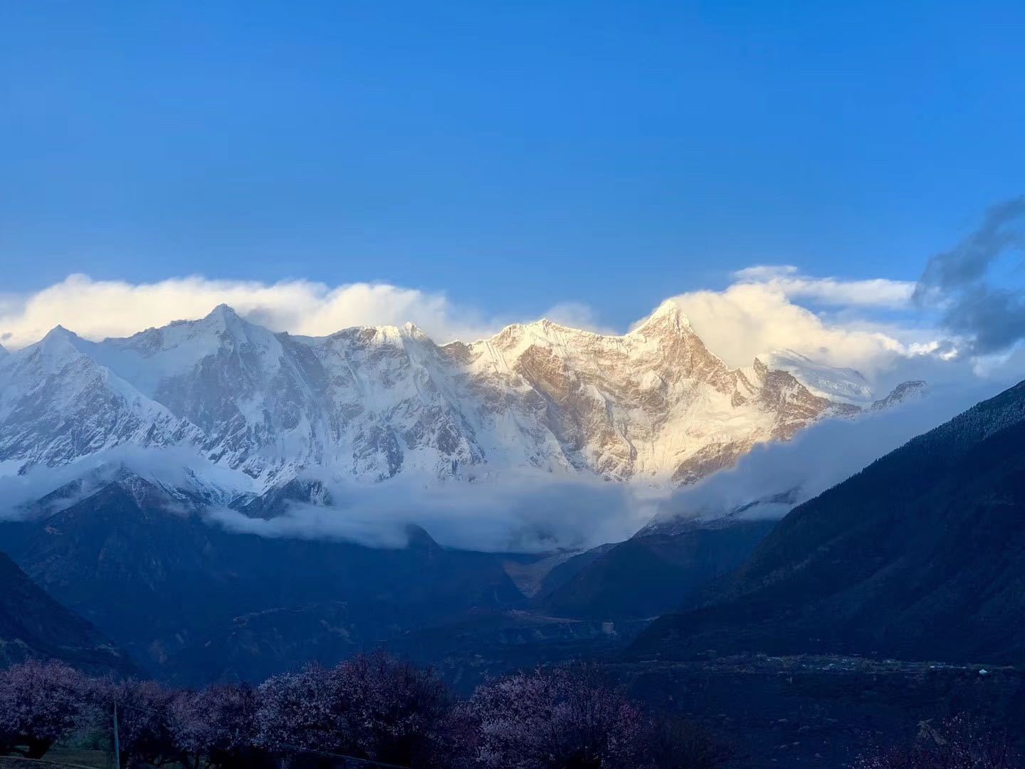 拉萨到成都普拉多托运费用,拉萨丰田普拉多租车多少钱一天
