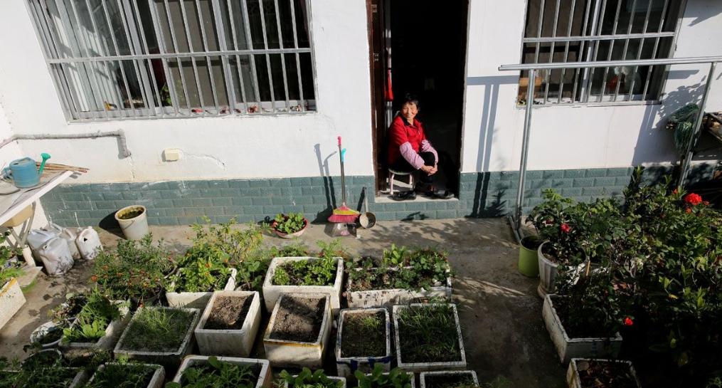 阳台种菜自制营养土最简单方法,营养土阳台种菜方法有哪些