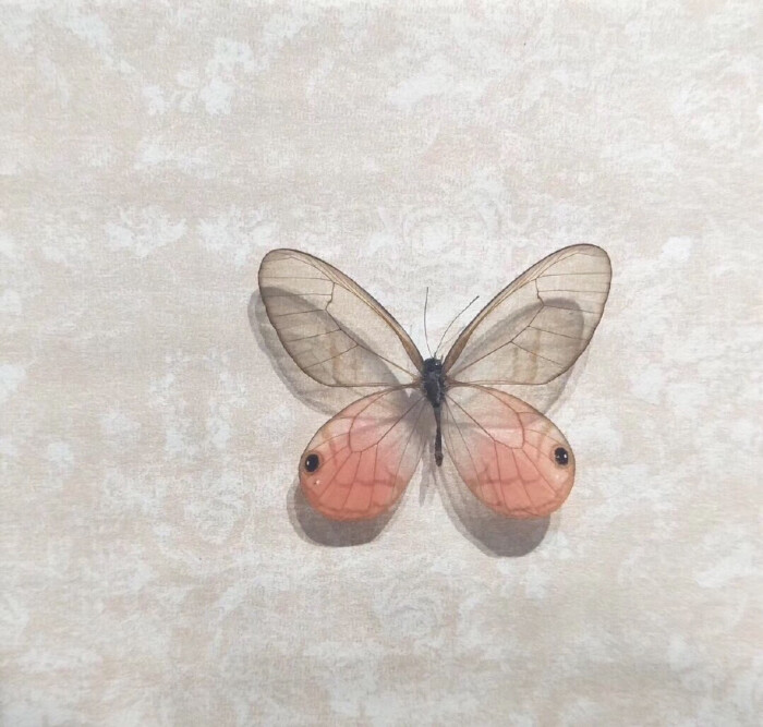 奶茶糖炒栗子四件套朋友圈文案,各类奶茶文案朋友圈