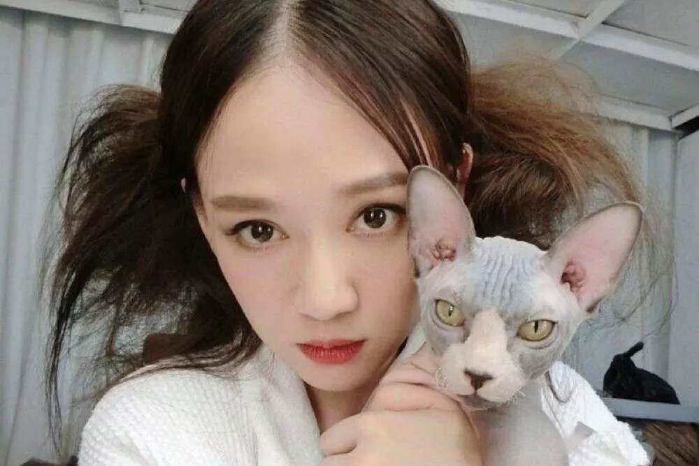 都知道无毛猫,你见过无毛花枝鼠么?裸鼠虽好养,功得要做足