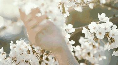 余生很长不要和这三种人纠缠,余生不长请远离让你生气的人