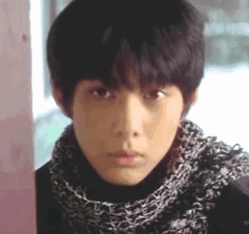 情书柏原崇藤井树解析,藤井树柏原崇是啥意思