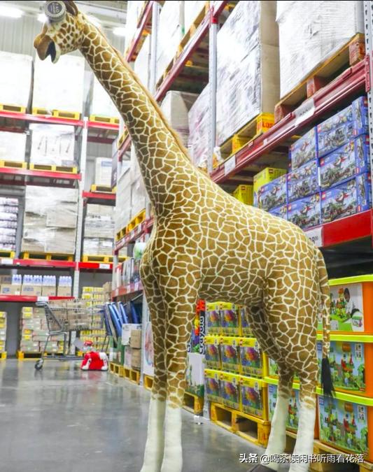 北京最大的购物中心在哪里,北京日常购物车