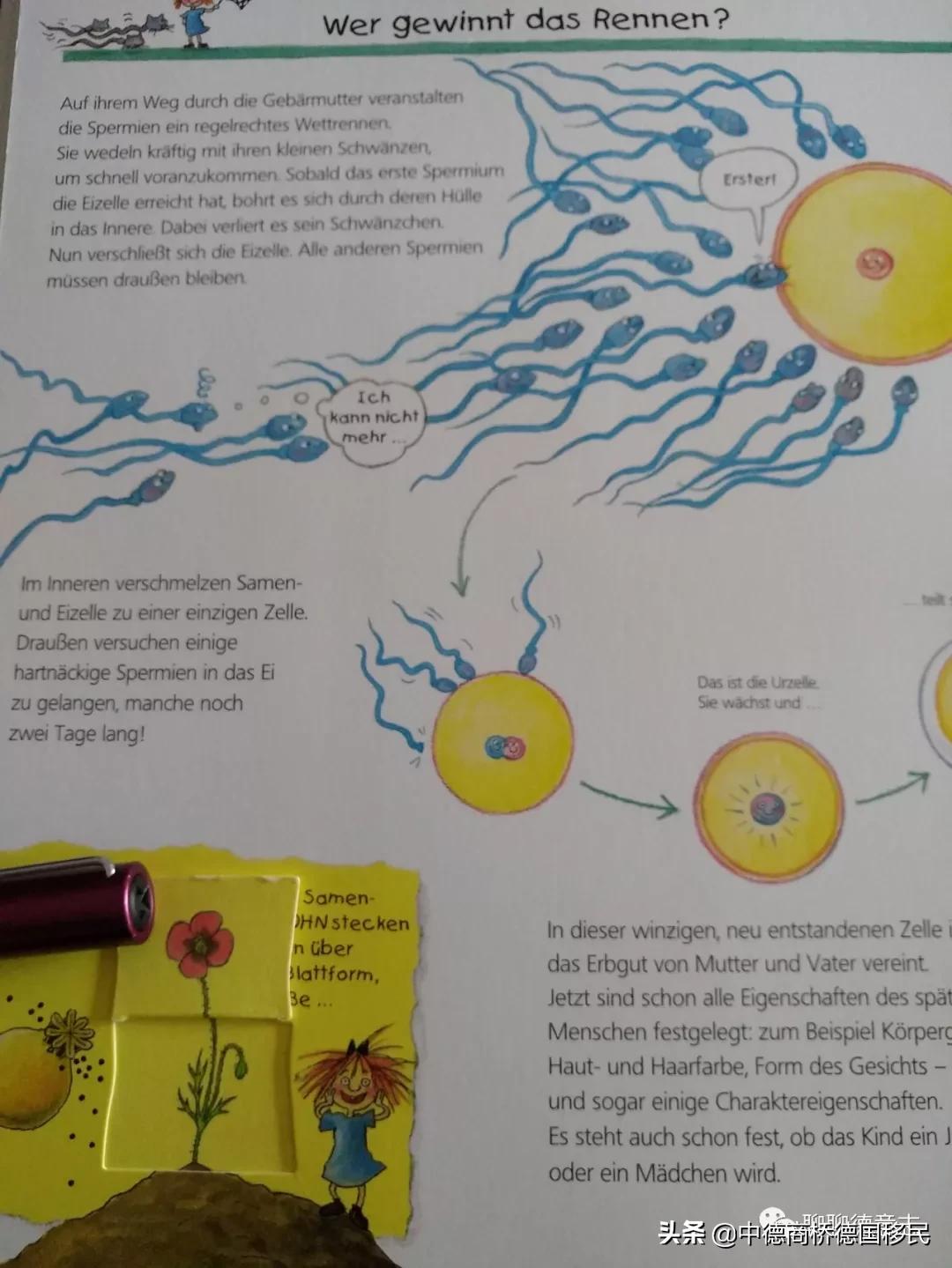 儿童性启蒙教育绘本,德国3-6岁幼儿园教育方法