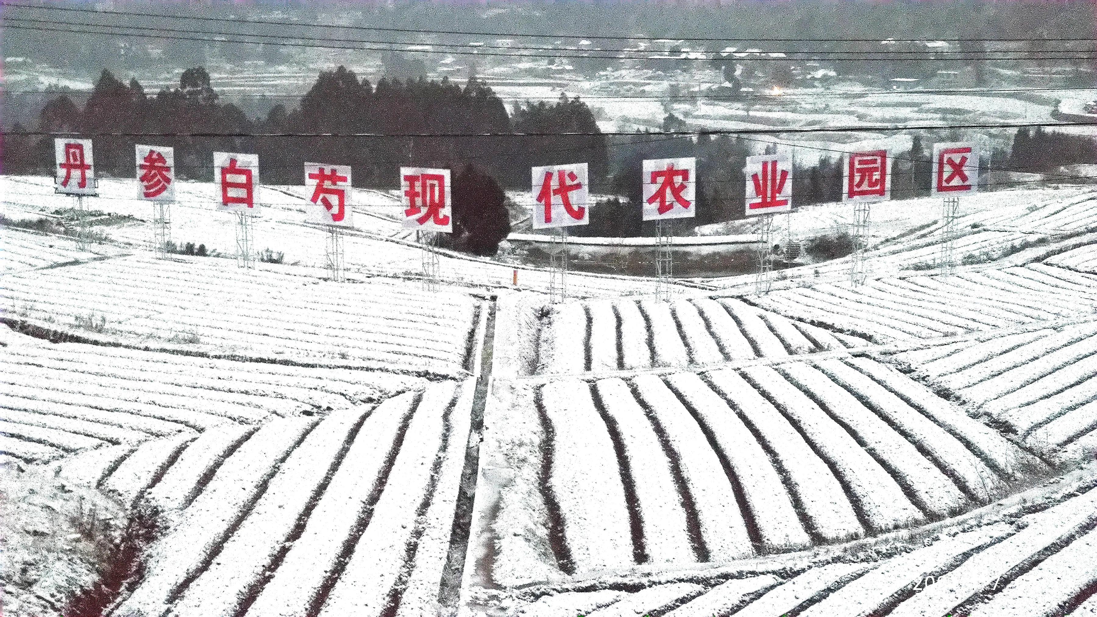 手拍世界（手机摄影平台）-群员作品集（总第671期）