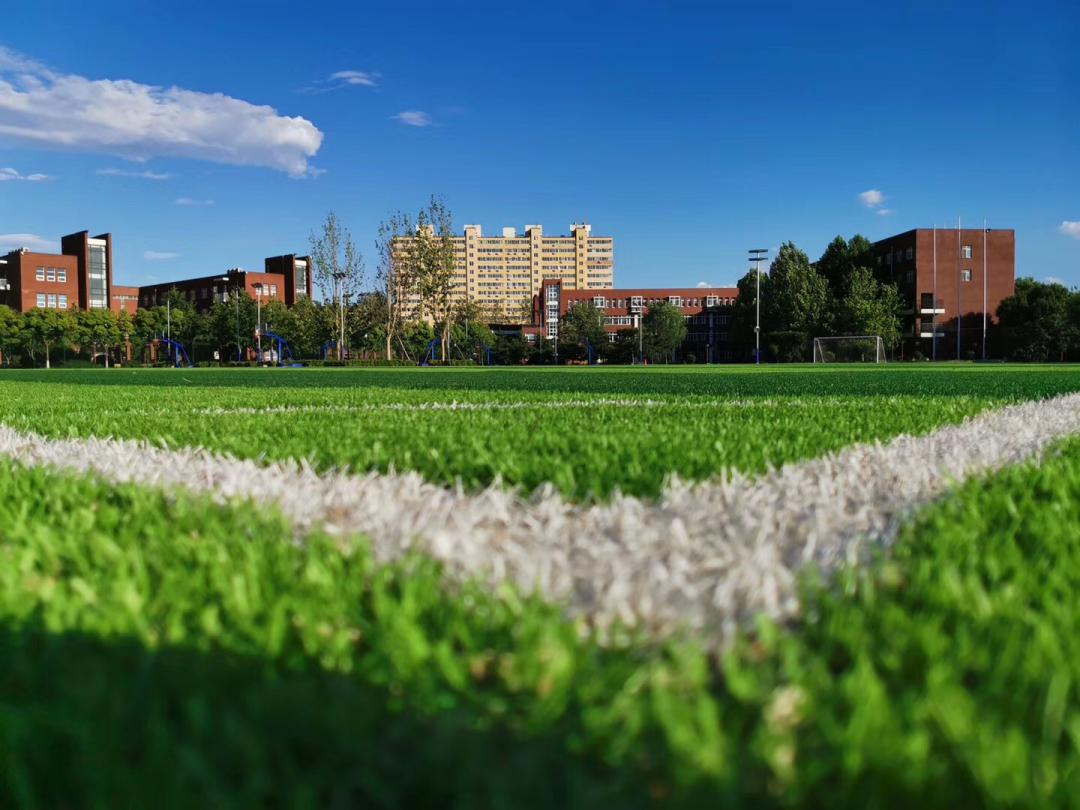 北京外国语大学招生条件,北京外国语大学的报考条件