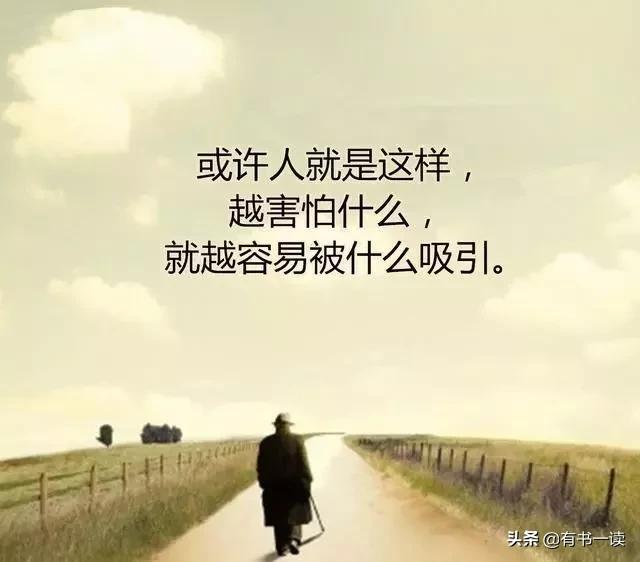 一个人朝圣的经典语录,一个人的朝圣最经典的一段话