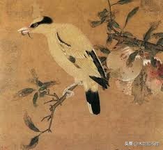 诗经中关于鸟的句子,诗经中寓意美好的鸟