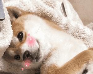 平价又好用的美白精华,平价好用的美白精华推荐